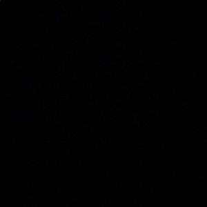 Meet your Posher, Anneliese